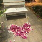 ヒメ日記 2025/04/30 18:44 投稿 はな ペペピィーノ