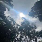 ヒメ日記 2025/06/01 09:46 投稿 はな ペペピィーノ