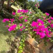 ヒメ日記 2026/03/11 10:36 投稿 はな ペペピィーノ