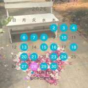 ヒメ日記 2026/03/31 21:26 投稿 はな ペペピィーノ