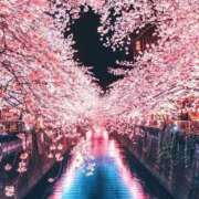 ヒメ日記 2025/02/06 09:19 投稿 美桜/みお　centu STYLISH BACH