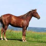 ヒメ日記 2025/02/27 20:09 投稿 美桜/みお　centu STYLISH BACH