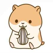 ヒメ日記 2025/04/08 18:19 投稿 美桜/みお　centu STYLISH BACH