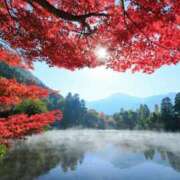 ヒメ日記 2025/04/17 09:04 投稿 美桜/みお　centu STYLISH BACH