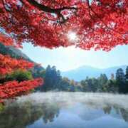 ヒメ日記 2025/04/26 11:42 投稿 美桜/みお　centu STYLISH BACH