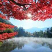 ヒメ日記 2025/05/01 14:23 投稿 美桜/みお　centu STYLISH BACH