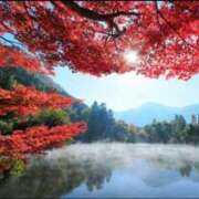 ヒメ日記 2025/05/25 13:02 投稿 美桜/みお　centu STYLISH BACH