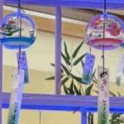 ヒメ日記 2025/07/17 21:02 投稿 岩田あやね 五十路マダムエクスプレス船橋店(カサブランカグループ)