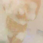 ヒメ日記 2025/09/13 22:16 投稿 岩田あやね 五十路マダムエクスプレス船橋店(カサブランカグループ)