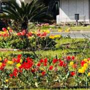 ヒメ日記 2026/04/14 21:28 投稿 岩田あやね 五十路マダムエクスプレス船橋店(カサブランカグループ)