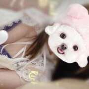 ヒメ日記 2025/03/21 18:31 投稿 エミリ ラブコレクション