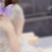 ヒメ日記 2025/05/28 00:31 投稿 エミリ ラブコレクション