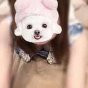 エミリ 終末の〜? ラブコレクション