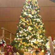 ヒメ日記 2024/12/12 22:27 投稿 長澤舞美 ローテンブルク