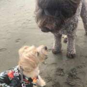 ヒメ日記 2025/03/20 16:17 投稿 長澤舞美 ローテンブルク