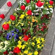 ヒメ日記 2025/03/28 13:31 投稿 長澤舞美 ローテンブルク