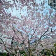 ヒメ日記 2025/03/31 09:57 投稿 長澤舞美 ローテンブルク