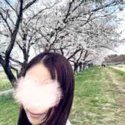 ヒメ日記 2025/04/07 14:03 投稿 長澤舞美 ローテンブルク