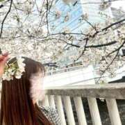 ヒメ日記 2025/04/12 14:06 投稿 長澤舞美 ローテンブルク