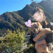 ヒメ日記 2025/04/29 14:10 投稿 長澤舞美 ローテンブルク