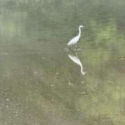 ヒメ日記 2025/05/12 12:15 投稿 長澤舞美 ローテンブルク