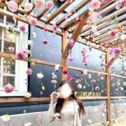 ヒメ日記 2025/05/12 22:15 投稿 長澤舞美 ローテンブルク