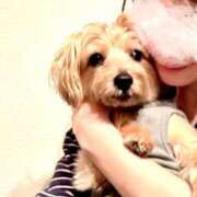 ヒメ日記 2025/05/24 14:20 投稿 長澤舞美 ローテンブルク