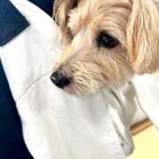 ヒメ日記 2025/06/07 14:08 投稿 長澤舞美 ローテンブルク