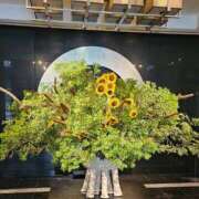 ヒメ日記 2025/08/04 12:28 投稿 長澤舞美 ローテンブルク