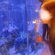 ヒメ日記 2025/08/25 22:43 投稿 長澤舞美 ローテンブルク