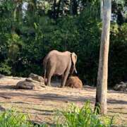 ヒメ日記 2025/11/24 18:23 投稿 長澤舞美 ローテンブルク