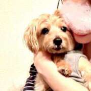 ヒメ日記 2025/12/02 20:04 投稿 長澤舞美 ローテンブルク