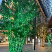 ヒメ日記 2025/12/24 16:31 投稿 長澤舞美 ローテンブルク