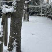 ヒメ日記 2026/02/08 11:30 投稿 長澤舞美 ローテンブルク