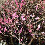 ヒメ日記 2026/02/10 20:04 投稿 長澤舞美 ローテンブルク