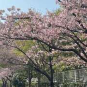 ヒメ日記 2026/02/23 10:25 投稿 長澤舞美 ローテンブルク