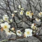 ヒメ日記 2026/03/01 09:37 投稿 長澤舞美 ローテンブルク