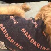 ヒメ日記 2026/03/10 11:33 投稿 長澤舞美 ローテンブルク