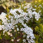 ヒメ日記 2026/03/16 11:17 投稿 長澤舞美 ローテンブルク