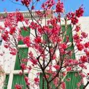 ヒメ日記 2026/03/17 11:35 投稿 長澤舞美 ローテンブルク