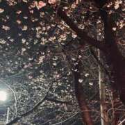 ヒメ日記 2026/03/23 18:43 投稿 長澤舞美 ローテンブルク