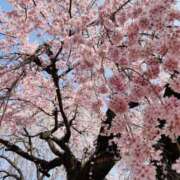 ヒメ日記 2026/03/25 10:13 投稿 長澤舞美 ローテンブルク