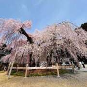 ヒメ日記 2026/03/27 10:05 投稿 長澤舞美 ローテンブルク