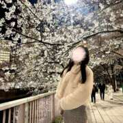 ヒメ日記 2026/03/29 23:05 投稿 長澤舞美 ローテンブルク