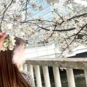 ヒメ日記 2026/03/30 08:41 投稿 長澤舞美 ローテンブルク