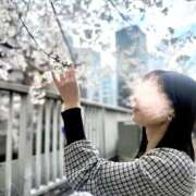 ヒメ日記 2026/03/31 18:50 投稿 長澤舞美 ローテンブルク