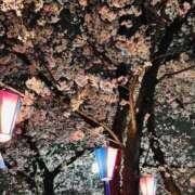 ヒメ日記 2026/04/01 22:03 投稿 長澤舞美 ローテンブルク