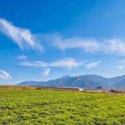 ヒメ日記 2026/04/11 12:01 投稿 長澤舞美 ローテンブルク