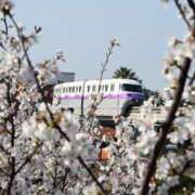 ヒメ日記 2026/04/12 13:09 投稿 長澤舞美 ローテンブルク