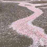 ヒメ日記 2026/04/17 10:02 投稿 長澤舞美 ローテンブルク